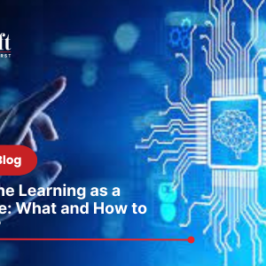 Machine Learning as a Service